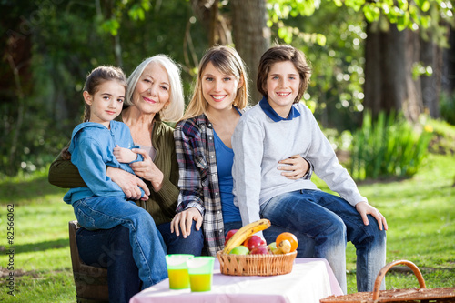 Multi Generation Family Enjoying Picnic At Park