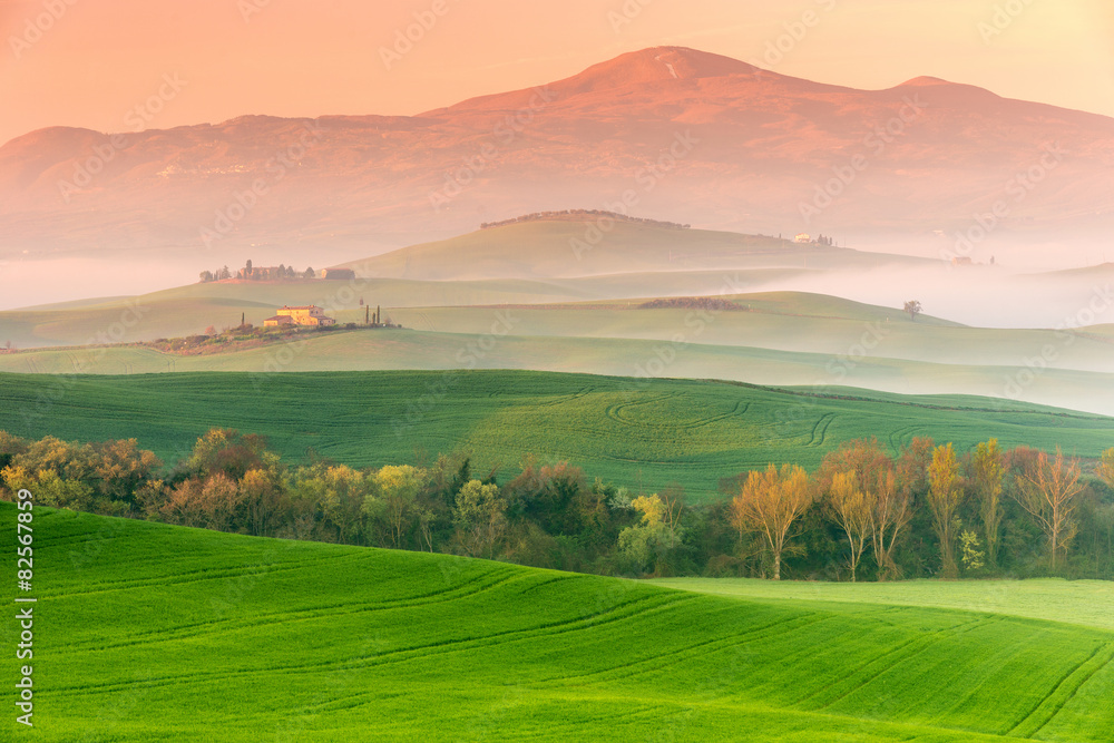 Tuscany Landscape - obrazy, fototapety, plakaty 