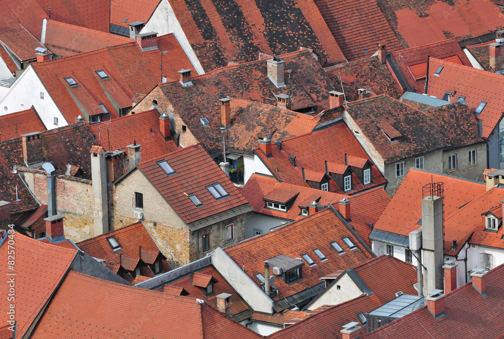 Rooftops in Ljubljanas old city center