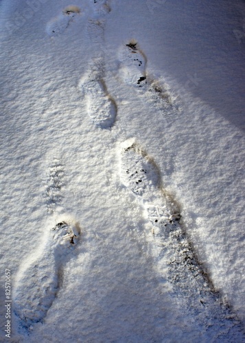 Footprints on a fresh snow