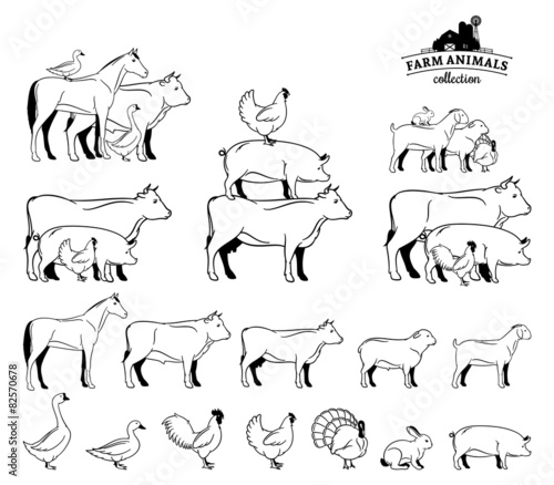 Vector Farm Animals Isolated on White
