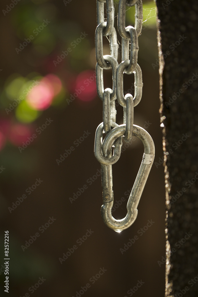 Obraz premium A chain dangle from a tree.