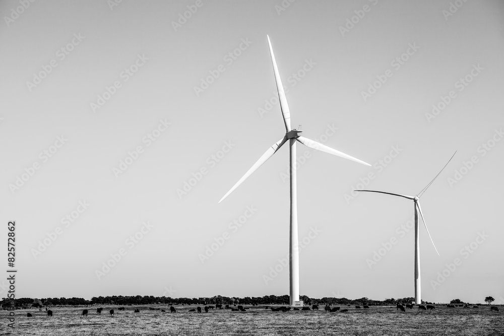 Three Windmills - Clean Energy production. Black and white photo