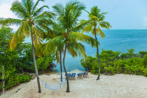 Fototapeta Naklejka Na Ścianę i Meble -  Aerial view Florida beach with lounge chairs against blue sky