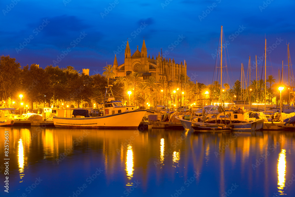 Palma de Mallorca sunrise with Cathedral and port