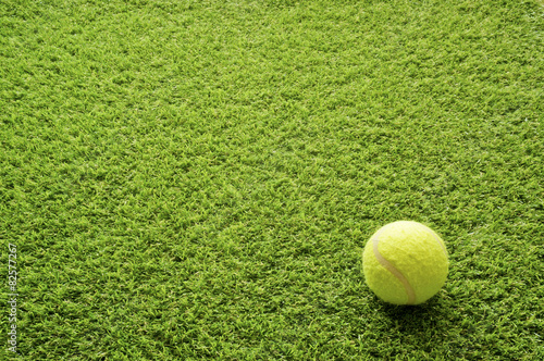 Tennis ball on the lawn