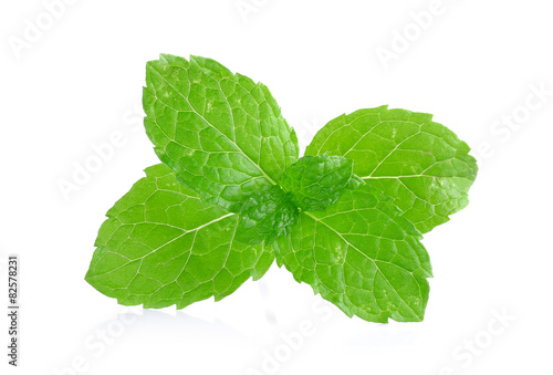 Peper mint isolated on the white background