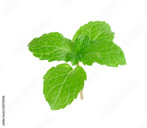Peper mint isolated on the white background