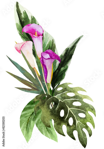 Tropical watercolor flowers