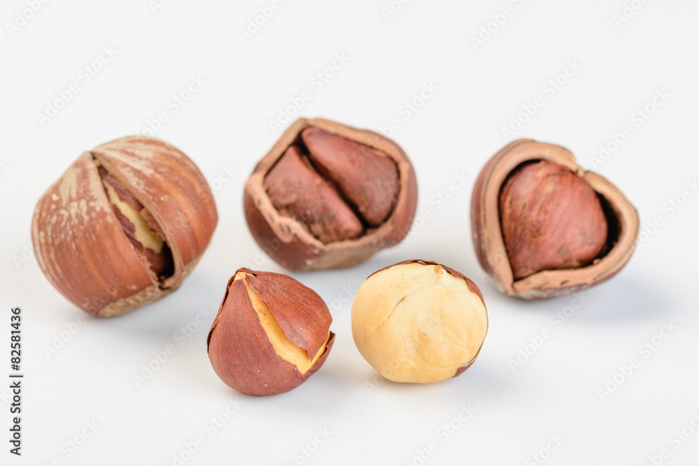 dried hazelnut dried hazelnut