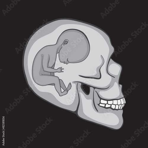 Fetus inside Skulls