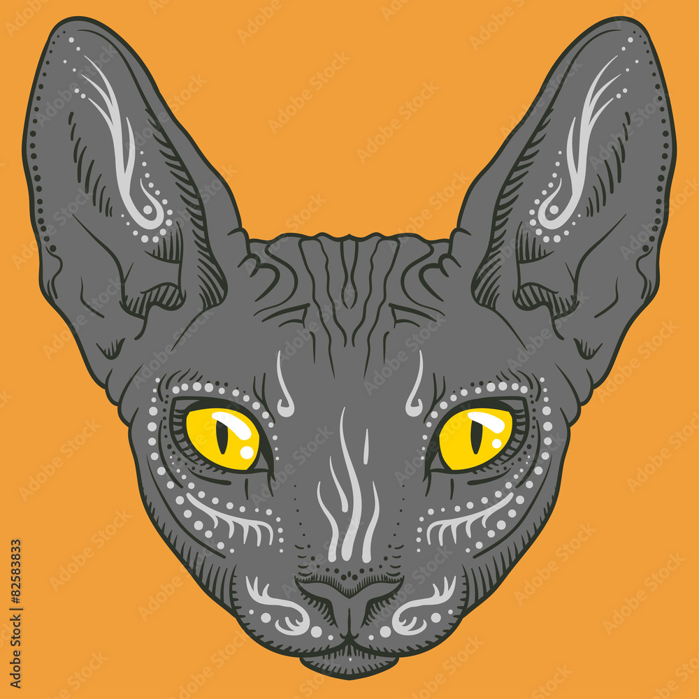Obraz premium hairless sphinx cat face graphics, outline
