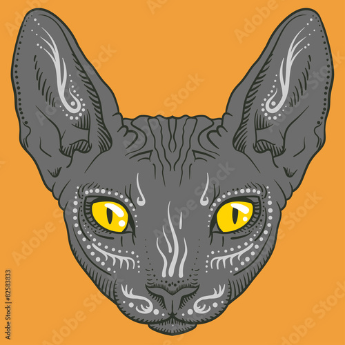 hairless sphinx cat face graphics, outline 