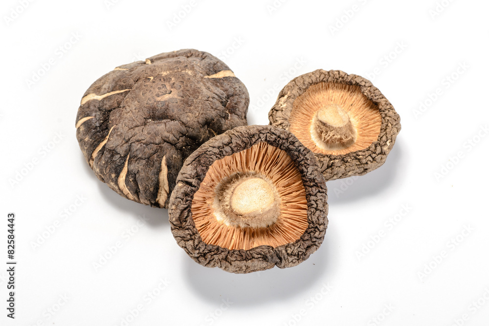 dried shitake mushroom dried shitake mushroom