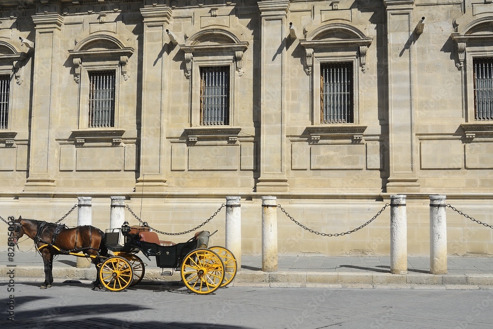 Coche de caballos en la catedral de Sevilla