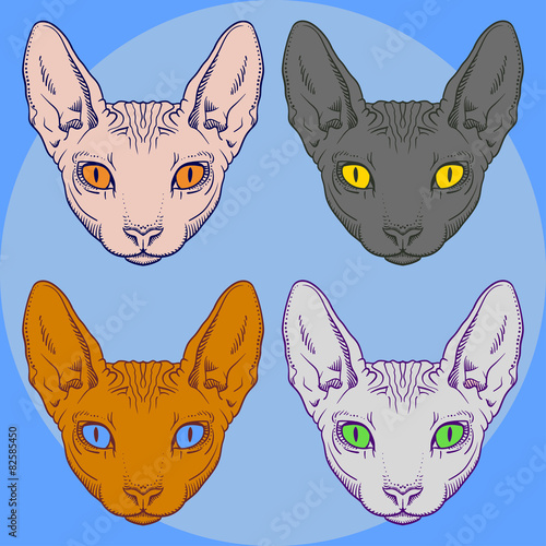 Set of hairless sphinx cat set face graphics, outline 