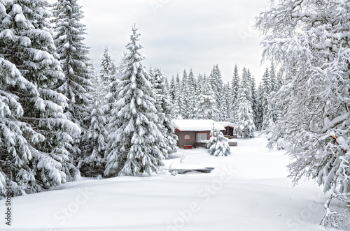 Scandinavian cottage in a winter snowdrifts 1 © Gromas