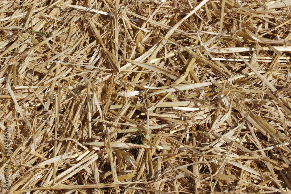 bales of straw