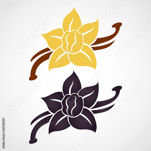 Vanilla flower and vanilla pods vector logo