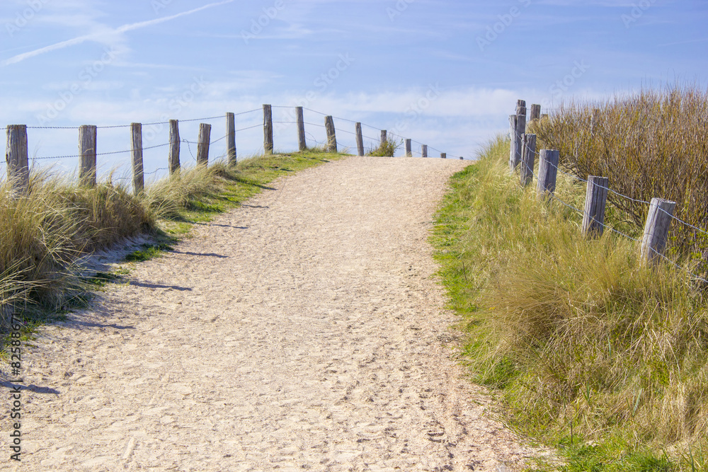  Path trough the dunes, Zoutelande, the Netherlands