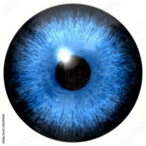 Illustration of Caucasian blue eye iris, light reflection