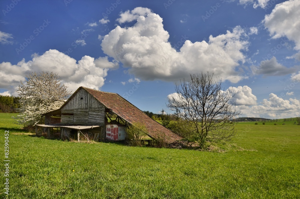 Spring sunny day on pasture with old barn Spring sunny day on pasture with old barn