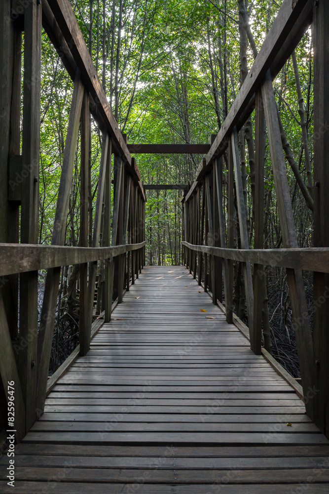 Wooden bridge in the mangrove forest