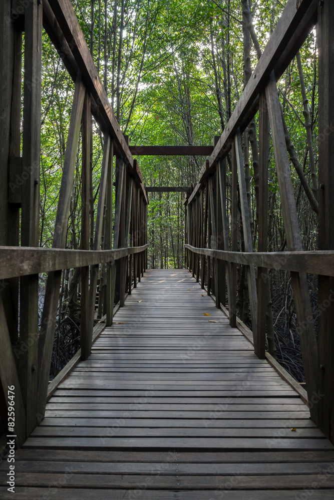 Wooden bridge in the mangrove forest Wooden bridge in the mangrove forest