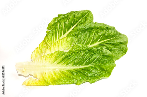 Foto Leaves of romaine lettuce on white background.