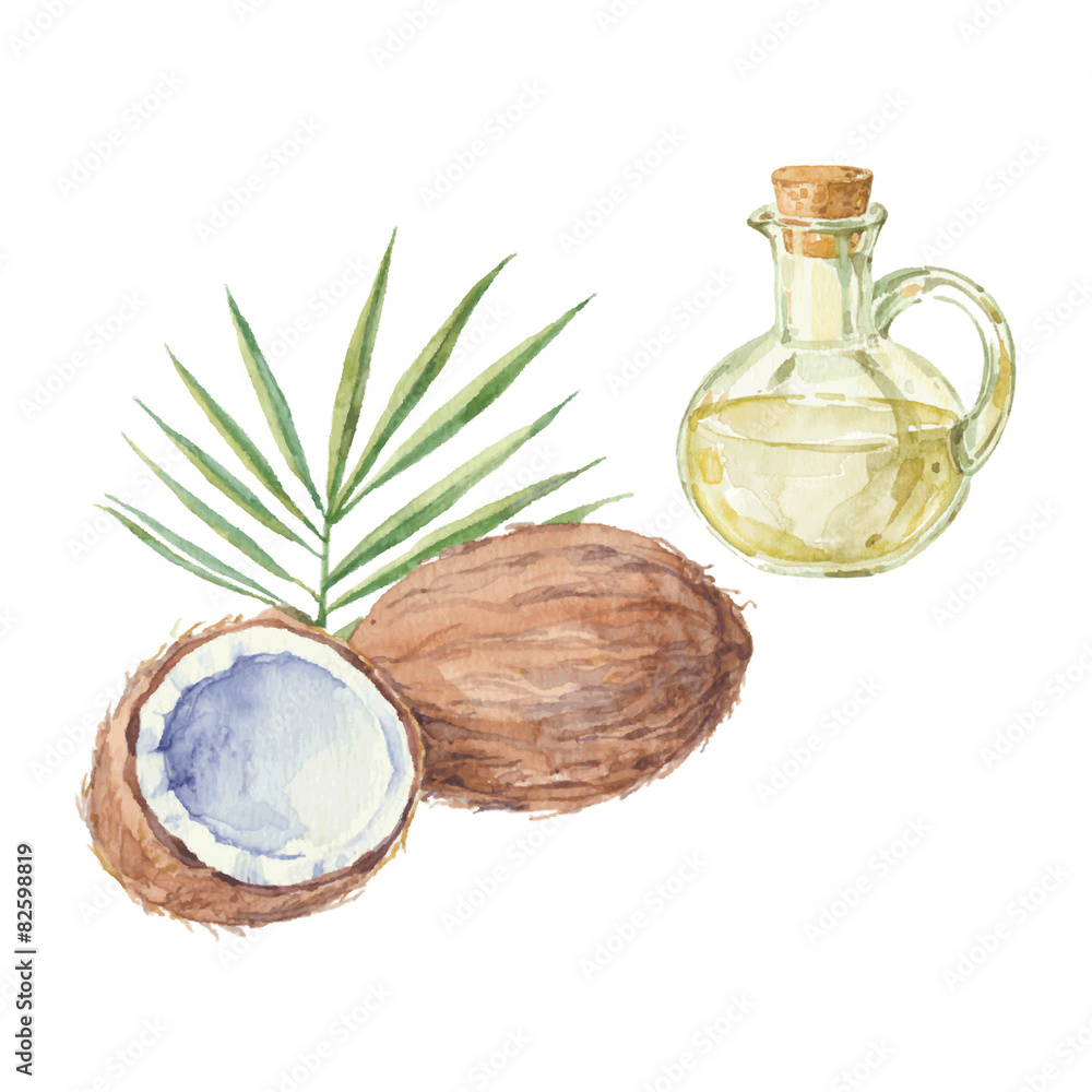 Coconut and a bottle of coconut oil drawing by watercolor. Coconut and a bottle of coconut oil drawing by watercolor.