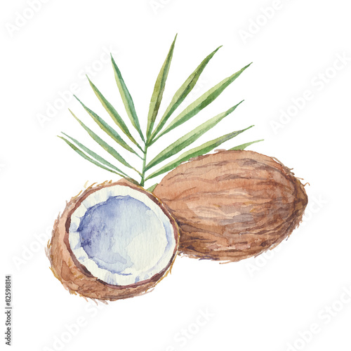 Coconut  isolated on a white background.