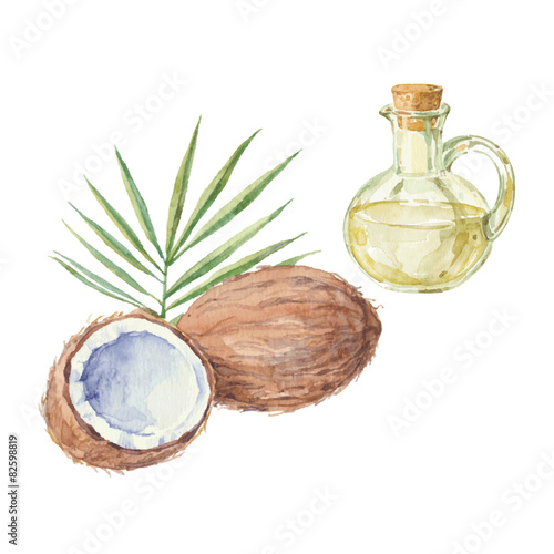 Coconut and a bottle of coconut oil drawing by watercolor. 