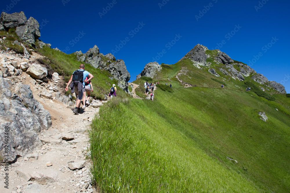 Fototapeta premium People hiking rear view