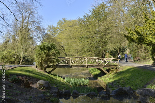 Pont rustique    l   tang Tenreuken du parc Seny    Bruxelles