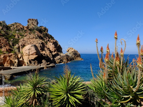 Obraz na plátně de Piana à Porto (Corse)