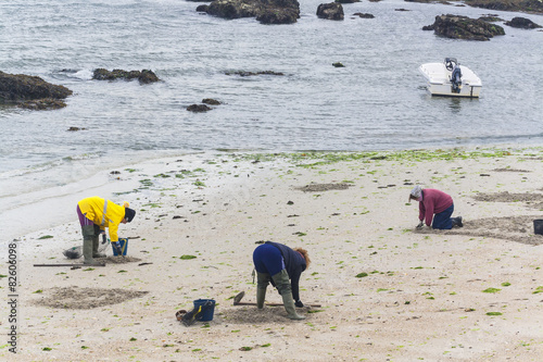 Clam fisherwomen on Preguntoiro beach, Vilaxoan photo