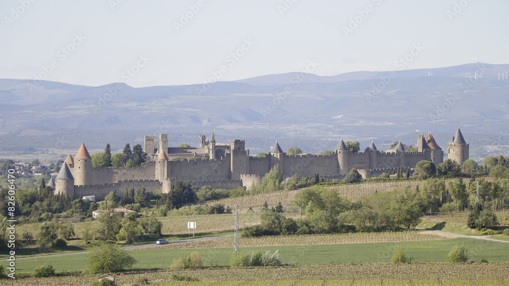 la cité de Carcassonne vue d'ensemble