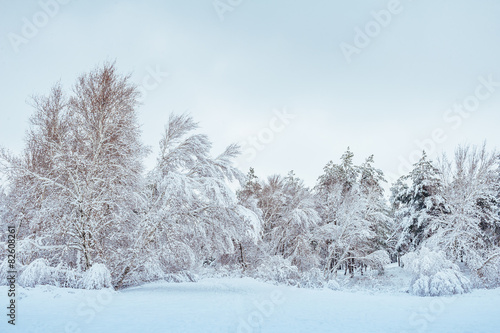 Snow-covered forest road, winter landscape. Cold and snowy