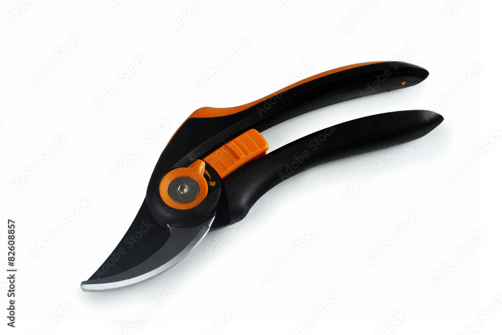 New secateurs New secateurs
