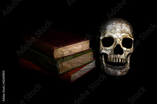 Vintage Skull with Novels