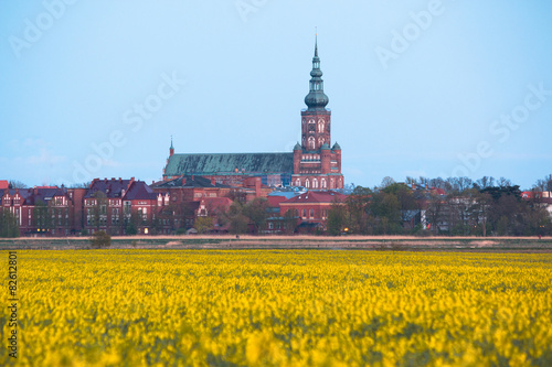 Dom St. Nikolai Greifswald