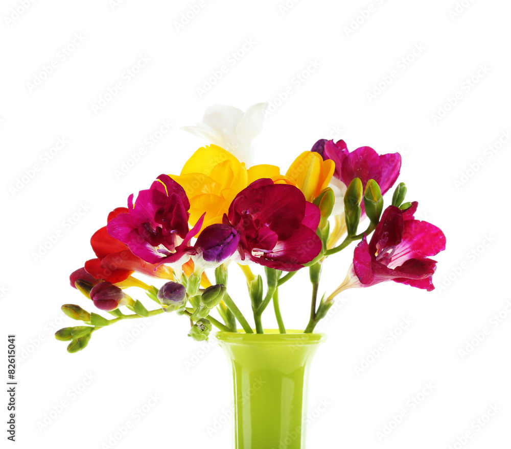 Beautiful spring flowers isolated on white