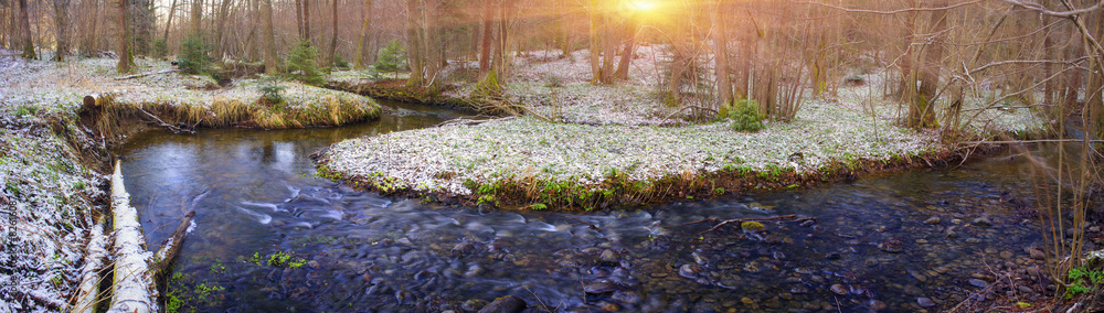 Naklejka premium flower creek