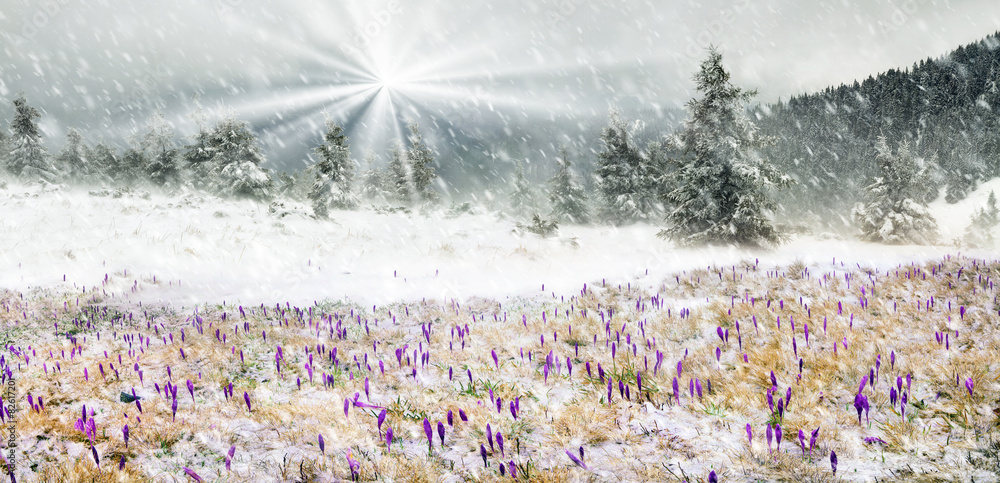 cold and wind