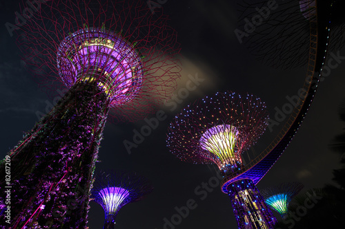 Gardens by the Bay - SuperTree Grove in Singapore