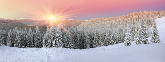 House of shepherds in winter