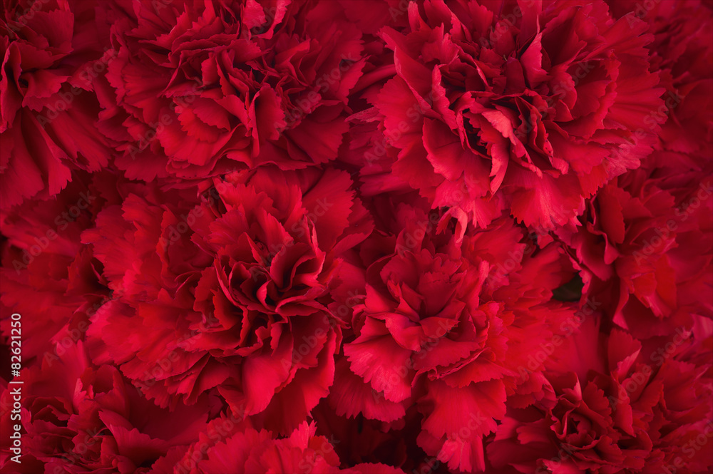 Obraz premium Bouquet of red flowers carnation for use as nature background.