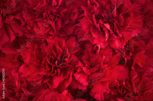 Bouquet of red flowers carnation for use as nature background. #82621250