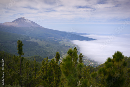 Teide mountain and Orotava valley  Tenerife  Spain