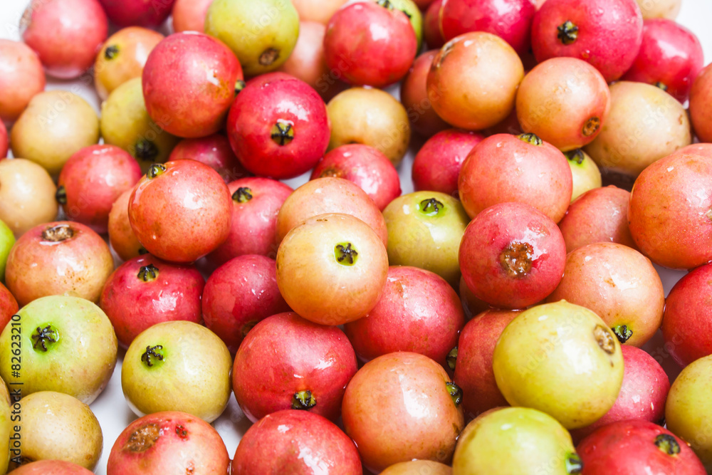 A Red and Green Fresh Indian Plum (Flacourtia sp.) A Red and Green Fresh Indian Plum (Flacourtia sp.)